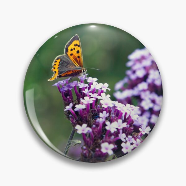 Item preview, Feeding Butterfly at  Goodnestone's  Park Gardens, Kent designed and sold by JohnGaffen.