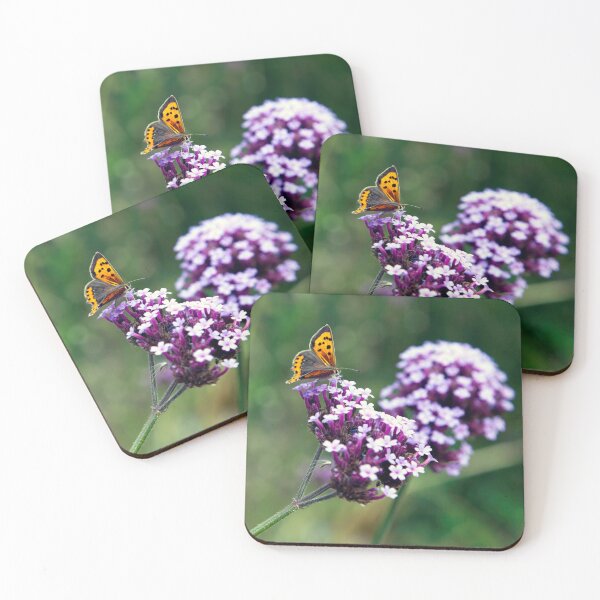 Item preview, Feeding Butterfly at  Goodnestone's  Park Gardens, Kent designed and sold by JohnGaffen.