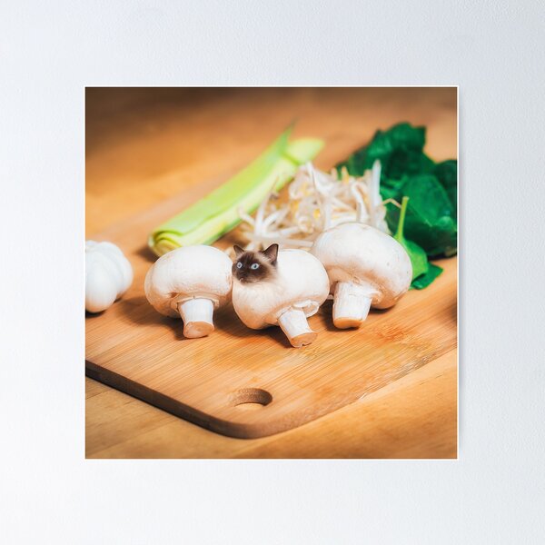 Item preview, Catshroom designed and sold by Cats In Food.