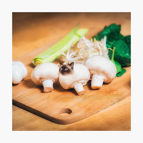 Item preview, Catshroom designed and sold by Cats In Food.