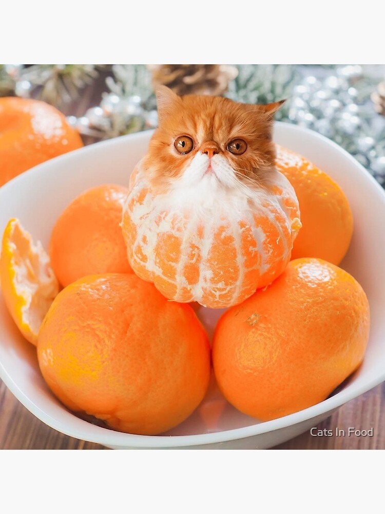 "Tangerine Cat" Greeting Card for Sale by Cats In Food Redbubble