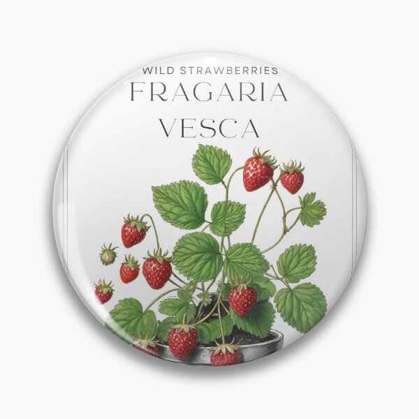 Item preview, Wild Strawberries Fragaria vesca Minimal Rustic sketch by CallisC Arts ⭐⭐⭐⭐⭐ designed and sold by CallisC-Arts.