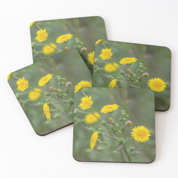 Item preview, Flower of a prickly sow thistle (Sonchus asper) designed and sold by JPopov.