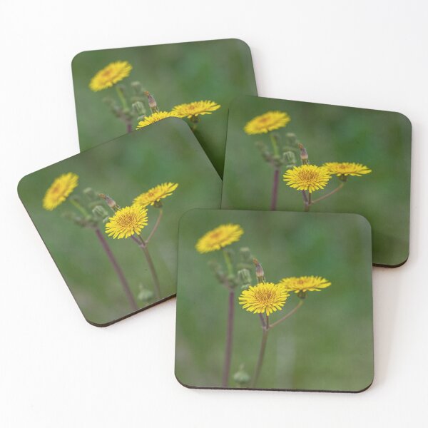 Item preview, Flower of a prickly sow thistle (Sonchus asper) designed and sold by JPopov.
