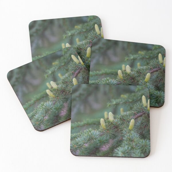 Item preview, Branch of an Atlas cedar with needles and cones.(Cedrus atlantica ) designed and sold by JPopov.
