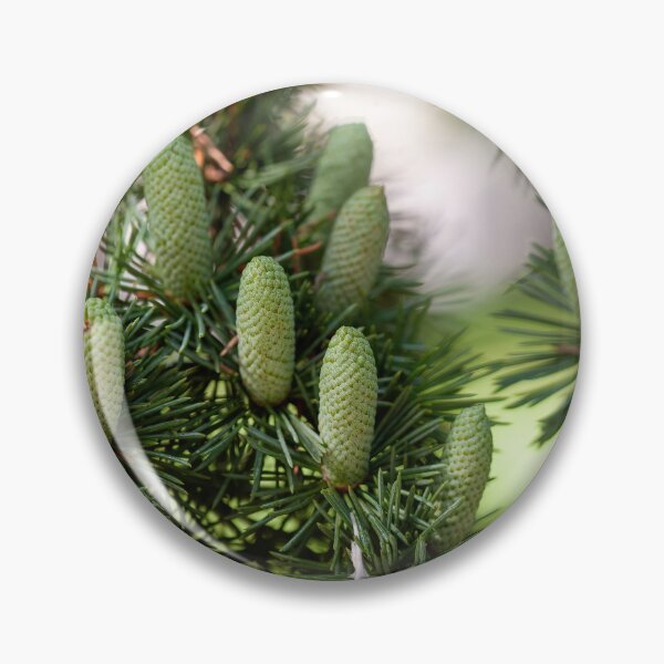 Item preview, Branch of an Atlas cedar with needles and cones.(Cedrus atlantica ) designed and sold by JPopov.