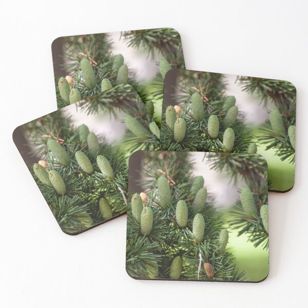 Item preview, Branch of an Atlas cedar with needles and cones.(Cedrus atlantica ) designed and sold by JPopov.