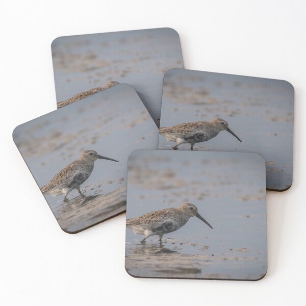 Item preview, The dunlin (Calidris alpina) catching worms in the water designed and sold by JPopov.