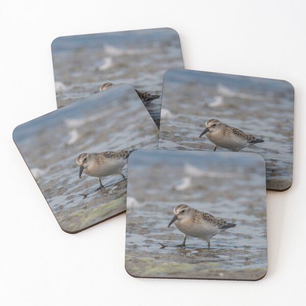 Item preview, The Little Stint - Calidris minuta in the shallow water designed and sold by JPopov.