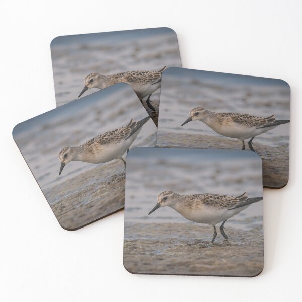 Item preview, The Little Stint - Calidris minuta in the shallow water designed and sold by JPopov.