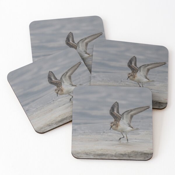 Item preview, The Little Stint - Calidris minuta in the shallow water designed and sold by JPopov.