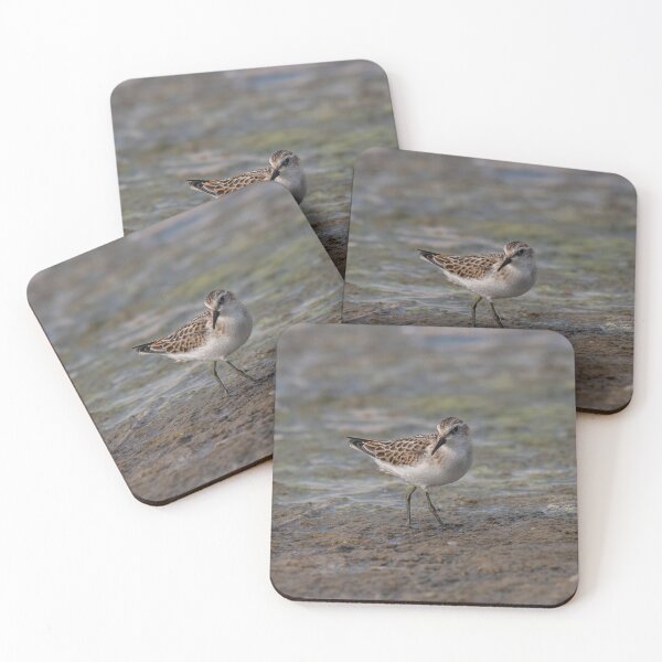 Item preview, The Little Stint - Calidris minuta in the shallow water designed and sold by JPopov.