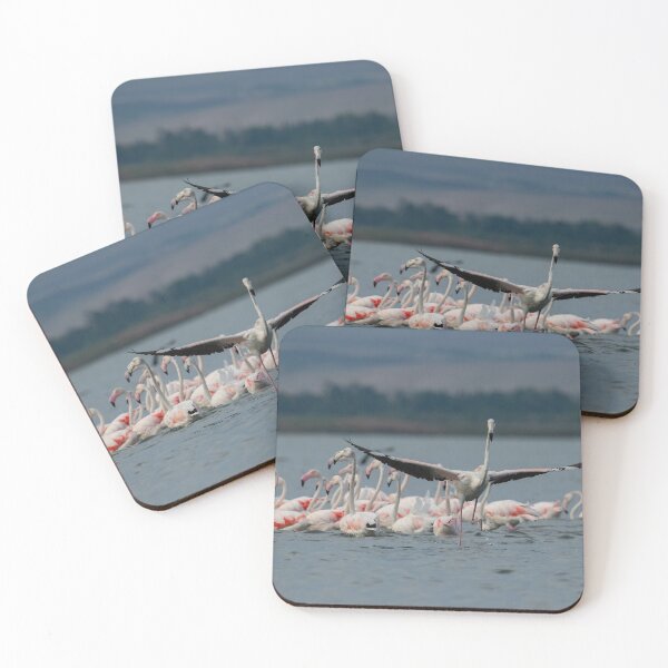 Item preview, Greater flamingo at Larnaca Salt-lake shore in the island of Cyprus designed and sold by JPopov.