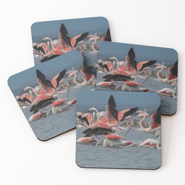 Item preview, Greater flamingo at Larnaca Salt-lake shore in the island of Cyprus designed and sold by JPopov.