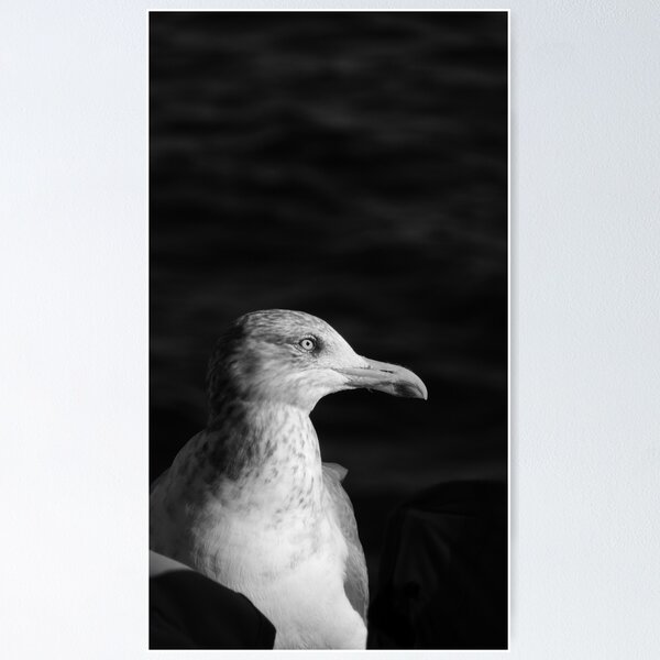 Item preview, Seabird designed and sold by ZazaRee.