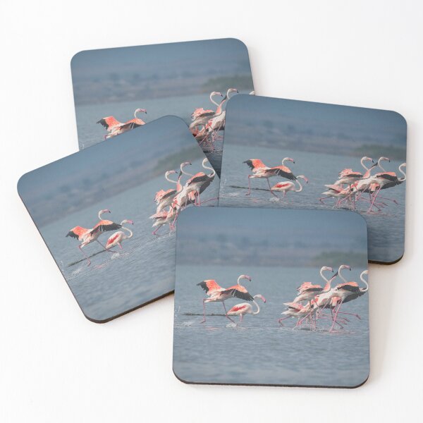 Item preview, Greater flamingo at Larnaca Salt-lake shore in the island of Cyprus designed and sold by JPopov.