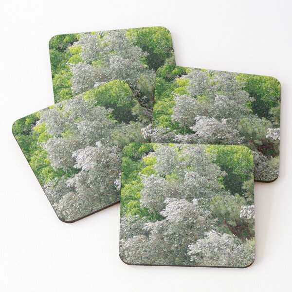 Item preview, olive tree. symbol of peace. love for trees designed and sold by Tereza Pilar  Art.