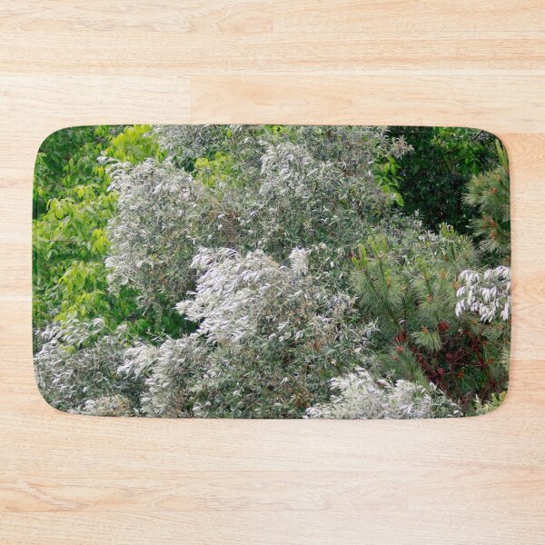 Item preview, olive tree. symbol of peace. love for trees designed and sold by Tereza Pilar  Art.