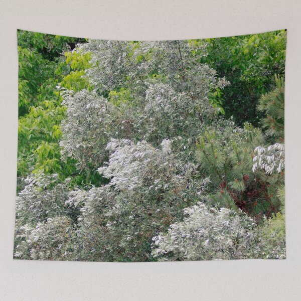 Item preview, olive tree. symbol of peace. love for trees designed and sold by Tereza Pilar  Art.