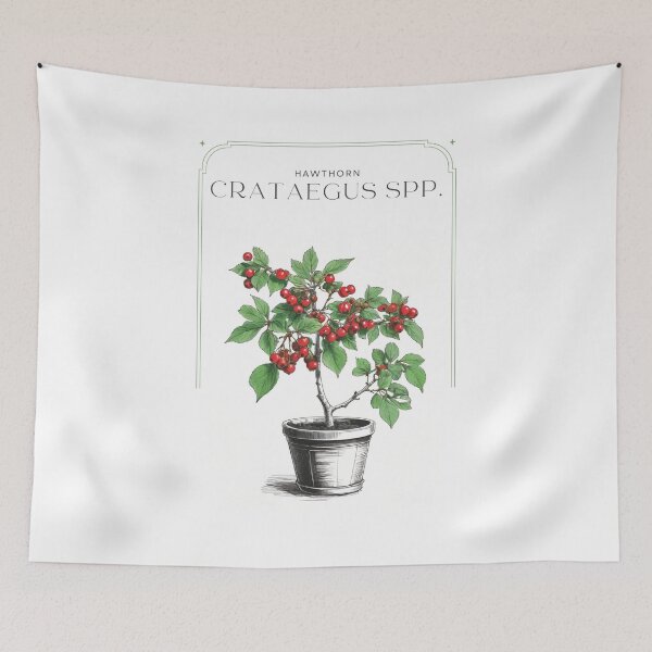 Item preview, Hawthorn Crataegus spp. Minimal Rustic sketch by CallisC Arts ⭐⭐⭐⭐⭐ designed and sold by CallisC-Arts.