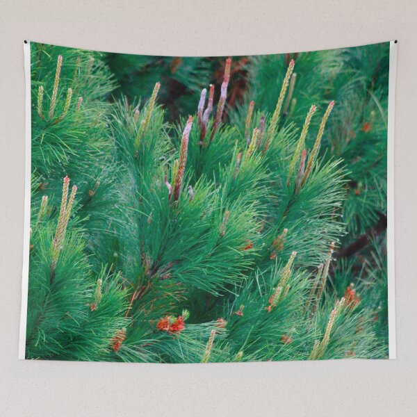 Item preview, pine tree in the rain designed and sold by Tereza Pilar  Art.