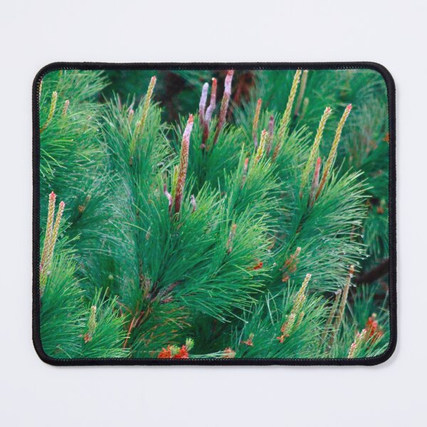 Item preview, pine tree in the rain designed and sold by Tereza Pilar  Art.