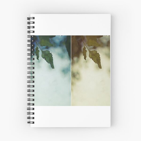 Item preview.