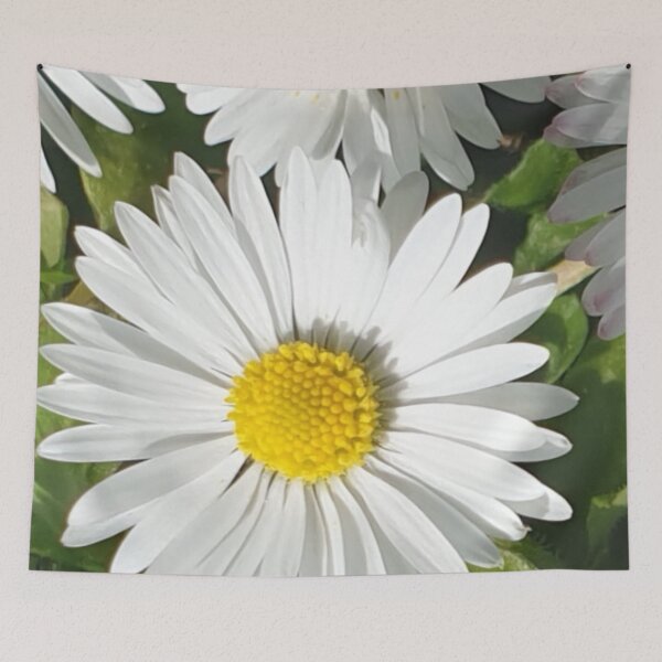 Item preview, Daisy Summer  designed and sold by amanda150771.
