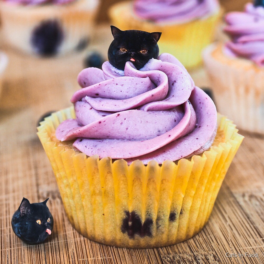 "Blueberry muffin cat" by Cats In Food Redbubble