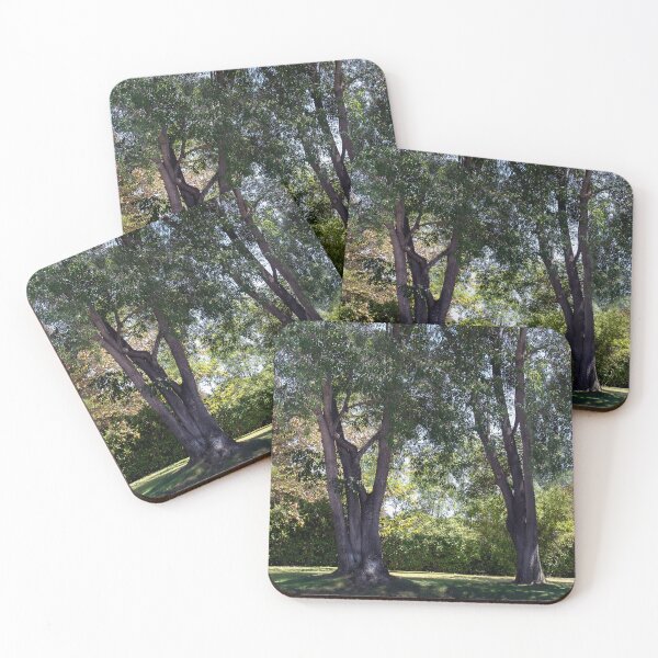 Item preview, Standing Tall designed and sold by heatherfriedman.