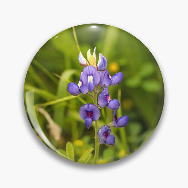 Item preview, Texas bluebonnet flower photography designed and sold by Stephanie SD3 Creative.