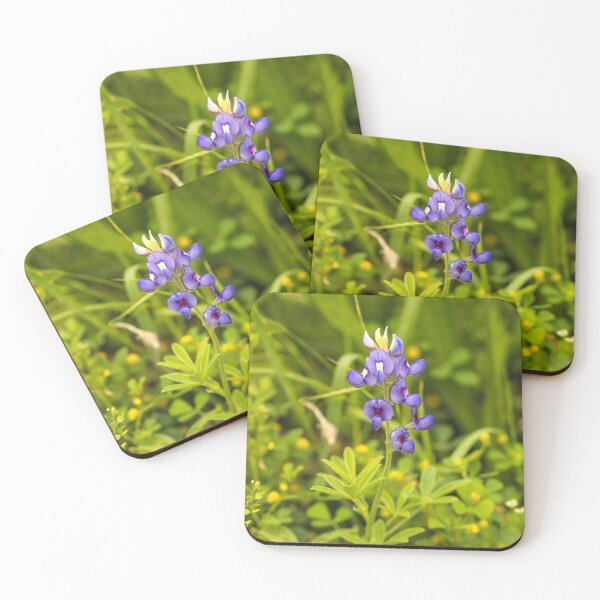 Item preview, Texas bluebonnet flower photography designed and sold by Stephanie SD3 Creative.