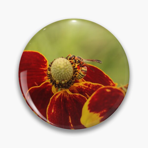 Item preview, Wasp on a Texas Mexican Hat wildflower designed and sold by Stephanie SD3 Creative.