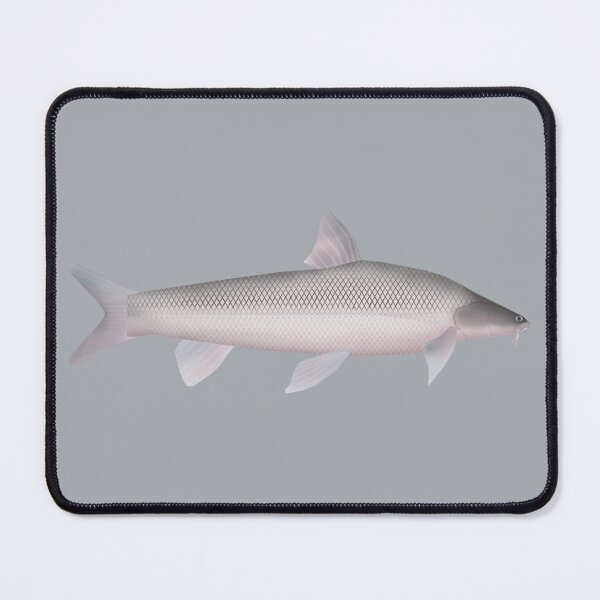 Item preview, Aral Barbel designed and sold by fishfolkart.