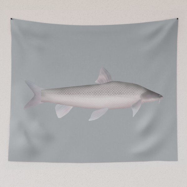 Item preview, Aral Barbel designed and sold by fishfolkart.
