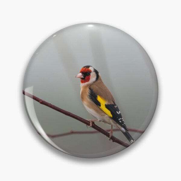 Item preview, Gold Finch designed and sold by MTPhotos1406.