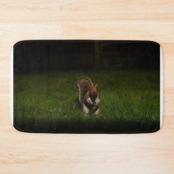 Item preview, Squirrel designed and sold by MTPhotos1406.