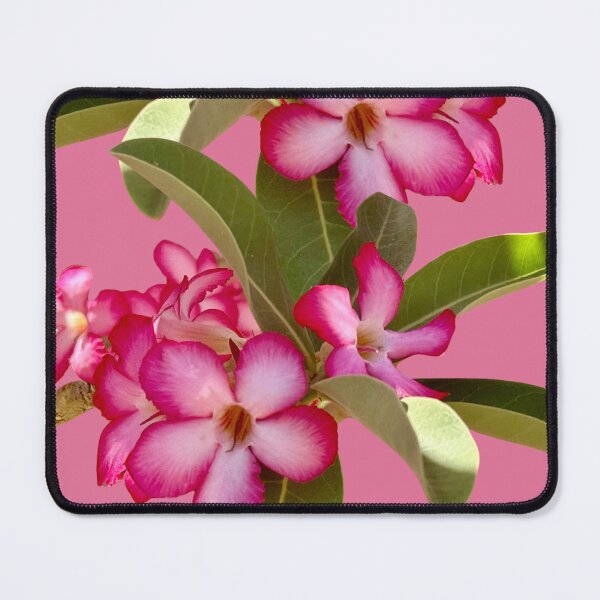 Item preview, Desert Rose designed and sold by ColourfulNomad.