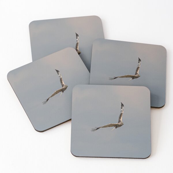 Item preview, Marsh Harrier designed and sold by MTPhotos1406.