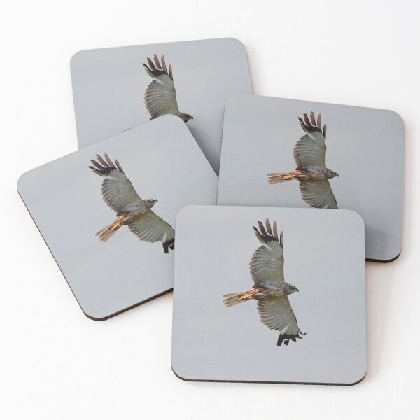 Item preview, Marsh Harrier designed and sold by MTPhotos1406.
