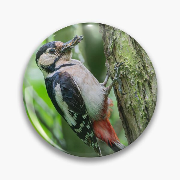 Item preview, Wood Pecker designed and sold by MTPhotos1406.