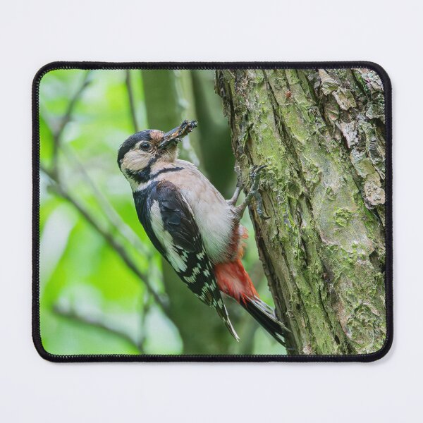 Item preview, Wood Pecker designed and sold by MTPhotos1406.