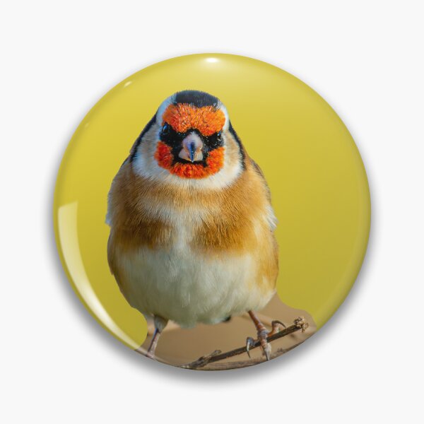 Item preview, GoldFinch  designed and sold by Dalyndigital Photography.