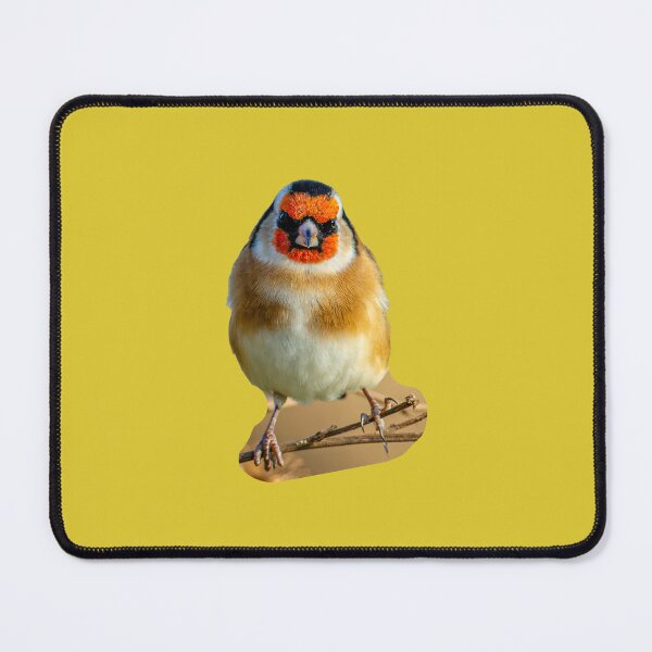Item preview, GoldFinch designed and sold by Dalyndigital Photography.
