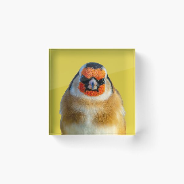 Item preview, GoldFinch  designed and sold by Dalyndigital Photography.