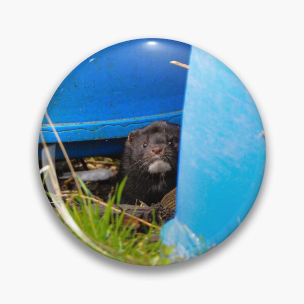 Item preview, American Mink designed and sold by MTPhotos1406.