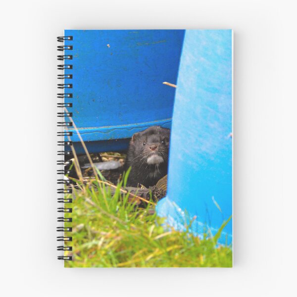 Item preview, American Mink designed and sold by MTPhotos1406.