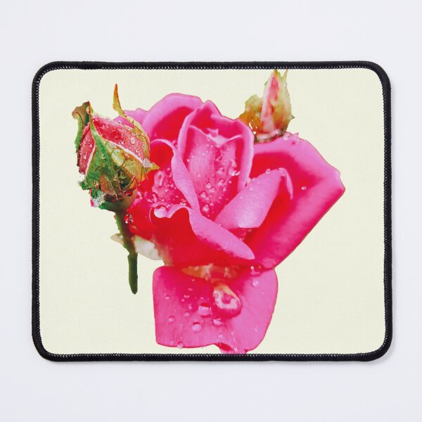Item preview, Pink rose and rosebuds designed and sold by norascorner.
