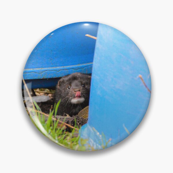 Item preview, American Mink designed and sold by MTPhotos1406.