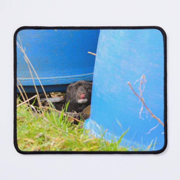 Item preview, American Mink designed and sold by MTPhotos1406.
